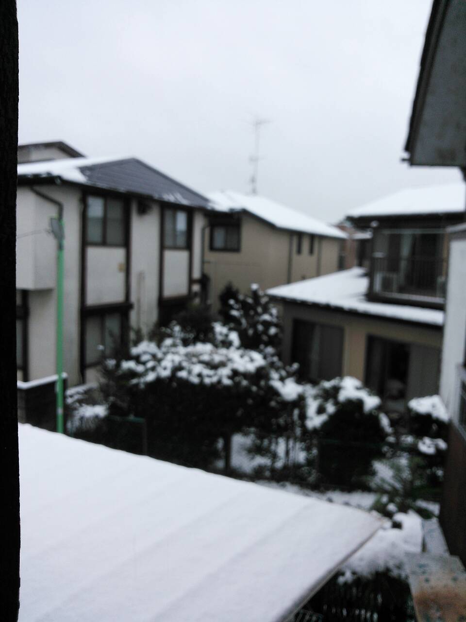 雪景色