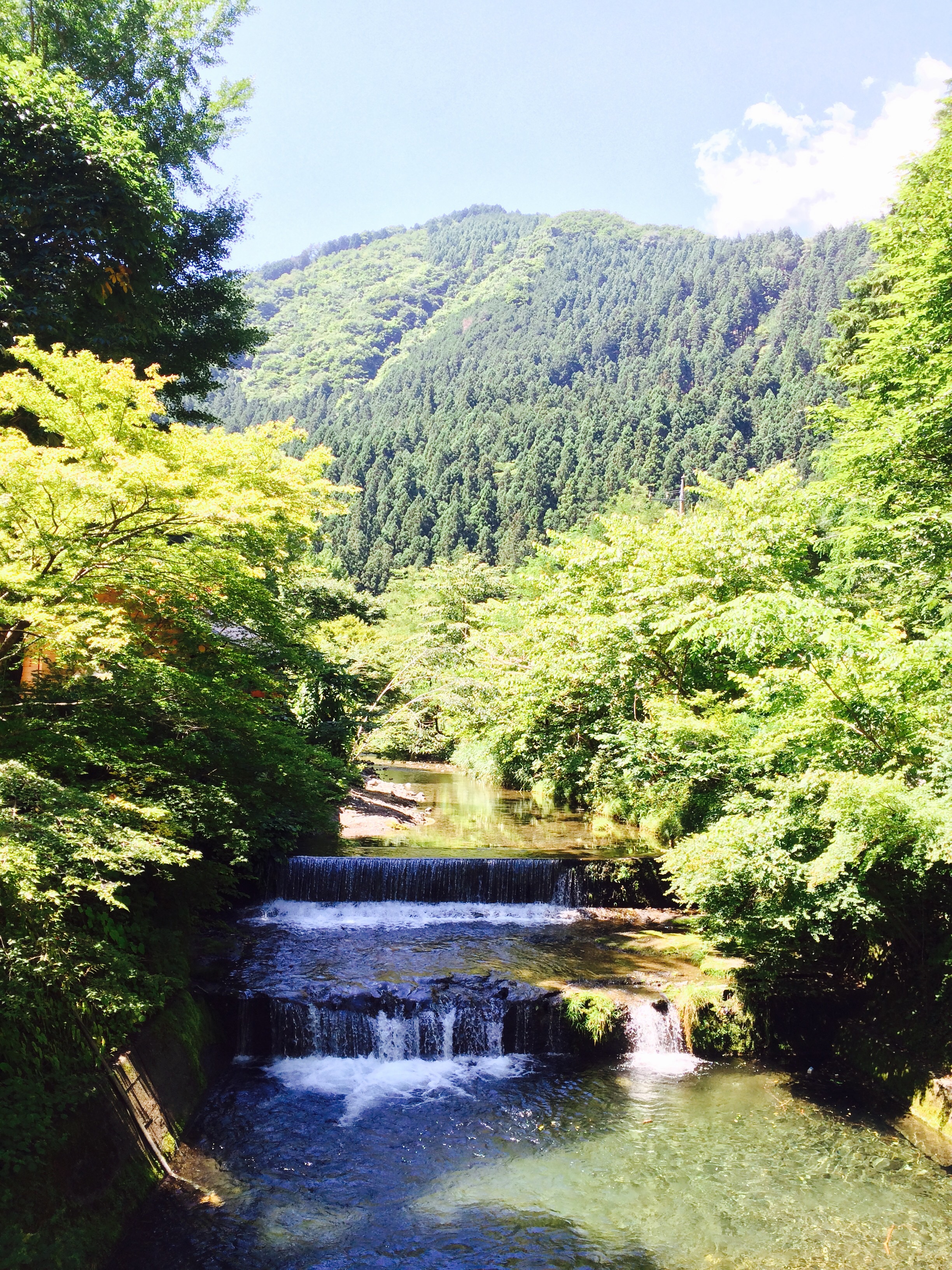 奥多摩 山