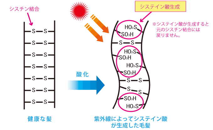 髪