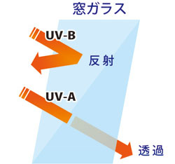 しがいせん